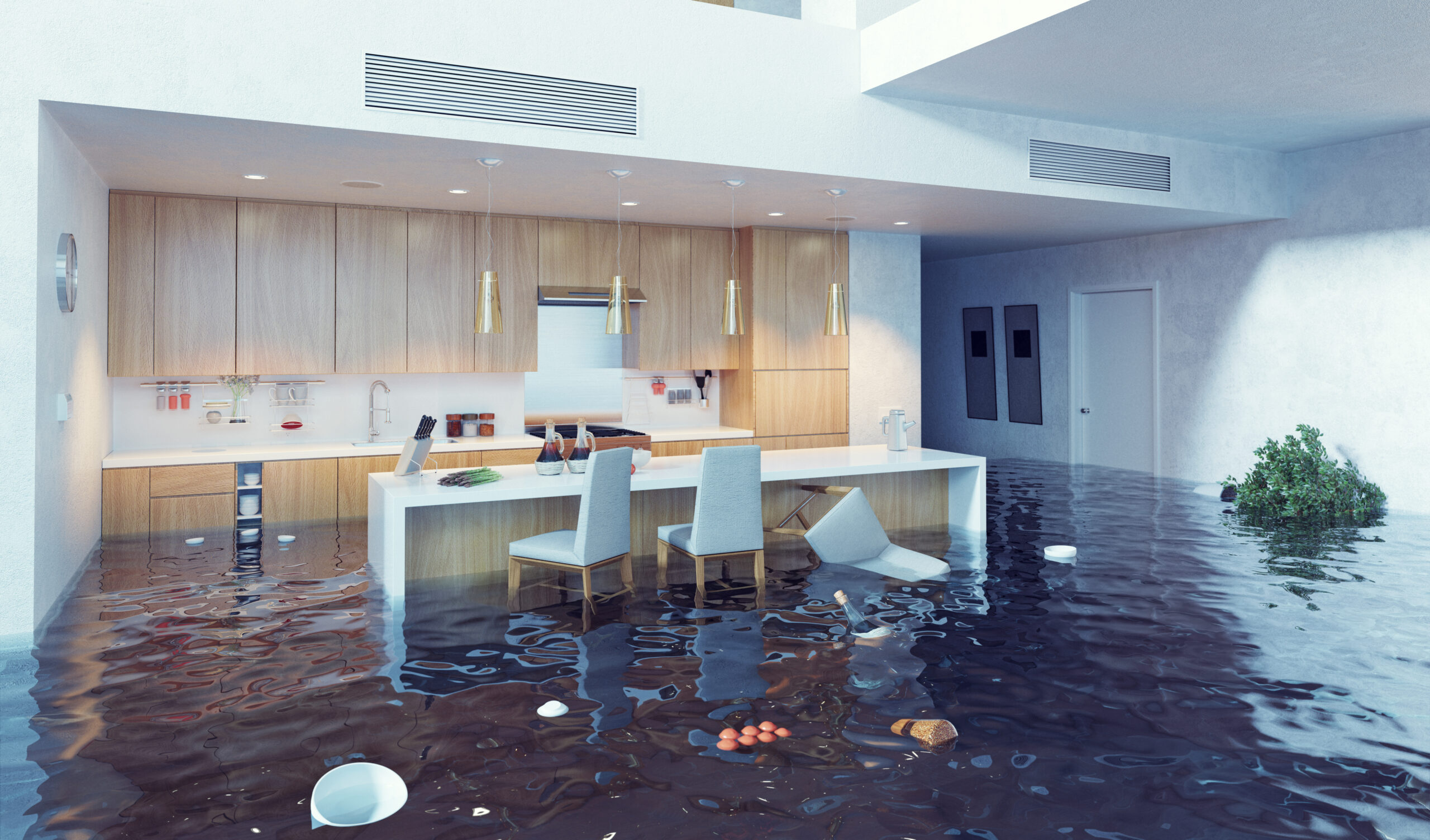 Vemos una casa inundada y no está asegurada.