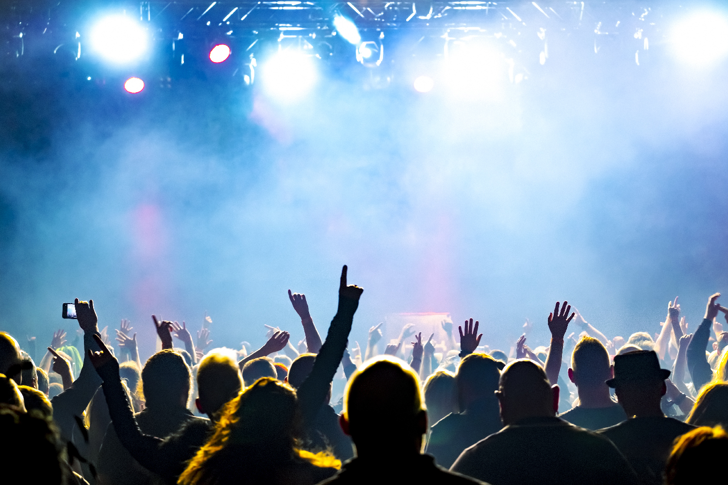 Vemos a las personas disfrutando del concierto y todos están protegidos con el seguro de accidentes colectivo.